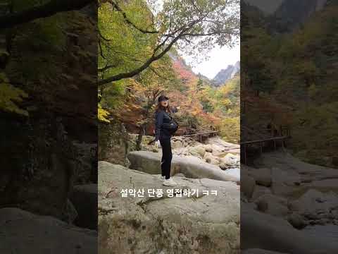 설악산 주전골단풍#shorts