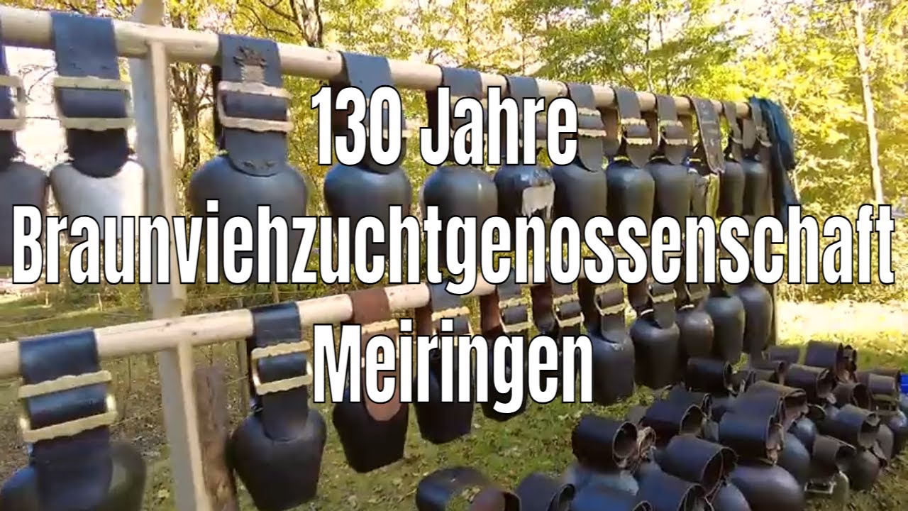 130 Jahre Braunviehzuchtgenossenschaft Meiringen 2025