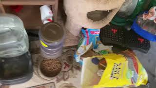 Dirt Devil Easy Steamer Deluxe | Extracting the back porch rug