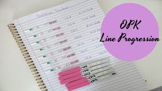 OPK Line Progression TTC Cycle #1 || TTC BABY #2