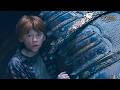 Harry, Ron and Hermione Look for the Philosopher's Stone | Full Scene