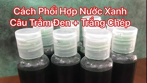 Cách phối hợp nước xanh câu Trắm đen trắm trắng hiệu quả cao