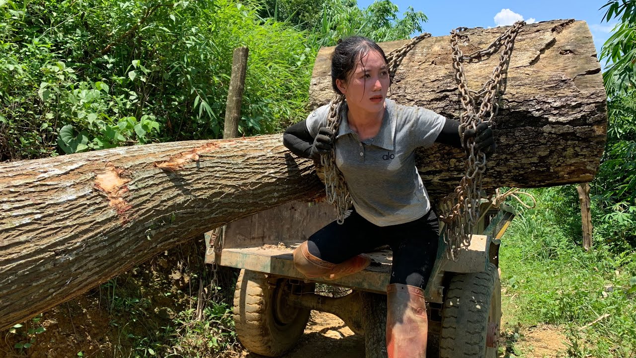 Agricultural vehicle transporting timber on road with log blocking road