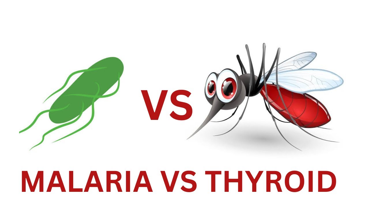 LET’s LEARN ABOUT MALARIA AND TYPHOID| mode of transmission, symptoms, diagnosis, treatment. 