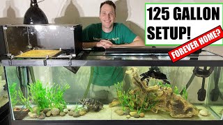 125 Gallon Turtle Tank Setup - No Sand - FOREVER HOME SIZE!