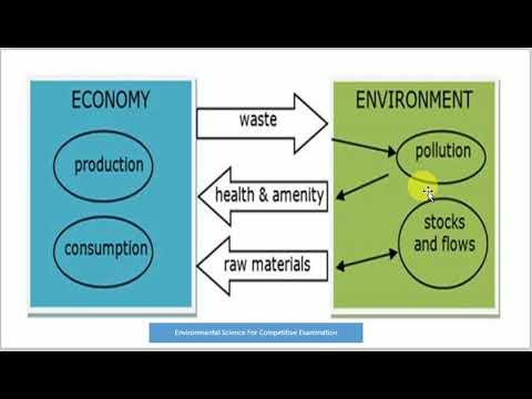 Video: Ano ang ibig sabihin ng interdisciplinary environment?