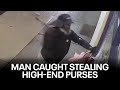 Man caught on camera stealing high-end purses by smashing store window in Philly