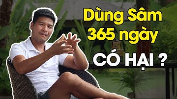 Uống sâm nhiều có hại không? dùng sâm thế nào cho tốt?
