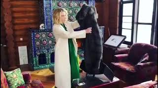 Юлия Высоцкая получила в подарок от мужа соболиную шубу Юлия Высоцкая получила в подарок от мужа соболиную шубу