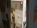 JBL Bar 9.1 - 820W | 5.1.4 Channel Soundbar System with Surround Speakers and Dolby Atmos