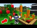 I harvest giant crops and apples in minecraft  omo city