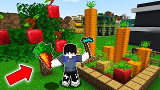 I Harvest GIANT CROPS and APPLES in Minecraft | OMO City