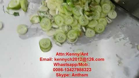 CH-20 green onion cutting slicing machine, celery cutter slicer