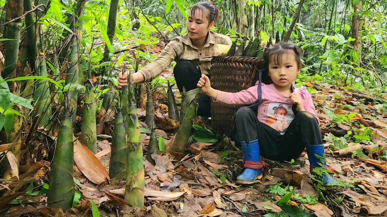 FULL VIDEO: How to harvest and preserve bamboo shoots to sell at market with daughter