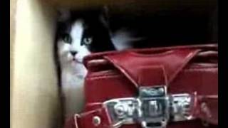 『一年生になったら』