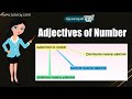 Understanding Numeral Adjectives