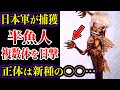 【ゆっくり解説】戦時中に日本軍が遭遇し捕獲成功...半魚人オランイカンは実在か!正体は新種の〇〇?多数のヤバすぎる目撃証言【UMA・未確認生物】