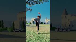 Famous tony Jaa #legend #shorts #movie #kungfu Net Worth