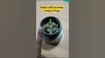 Mixer Grinder bati coupler open and repair