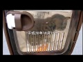 保護した元野良の子猫の里親になりました【初めて会った日の動画】