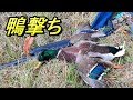 散弾銃で鴨を撃って捌いて焼肉にして食べる