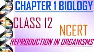 CLASS 12 | BIOLOGY | CHAPTER 1|NCERT| REPRODUCTION IN ORGANISMS |DETAILED DESCRIPTION IN AN EASY WAY