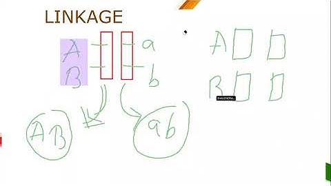 Principles of Inheritance & Variation L 10  MORGON EXPERIMENT| CLASS12 | XCHANGE INOS | S.SONI SIR