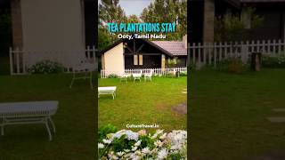 Best Resorts In Ooty  Budget Friendly Resorts In Ooty  Ooty Stay For Couples   Ooty Staycation