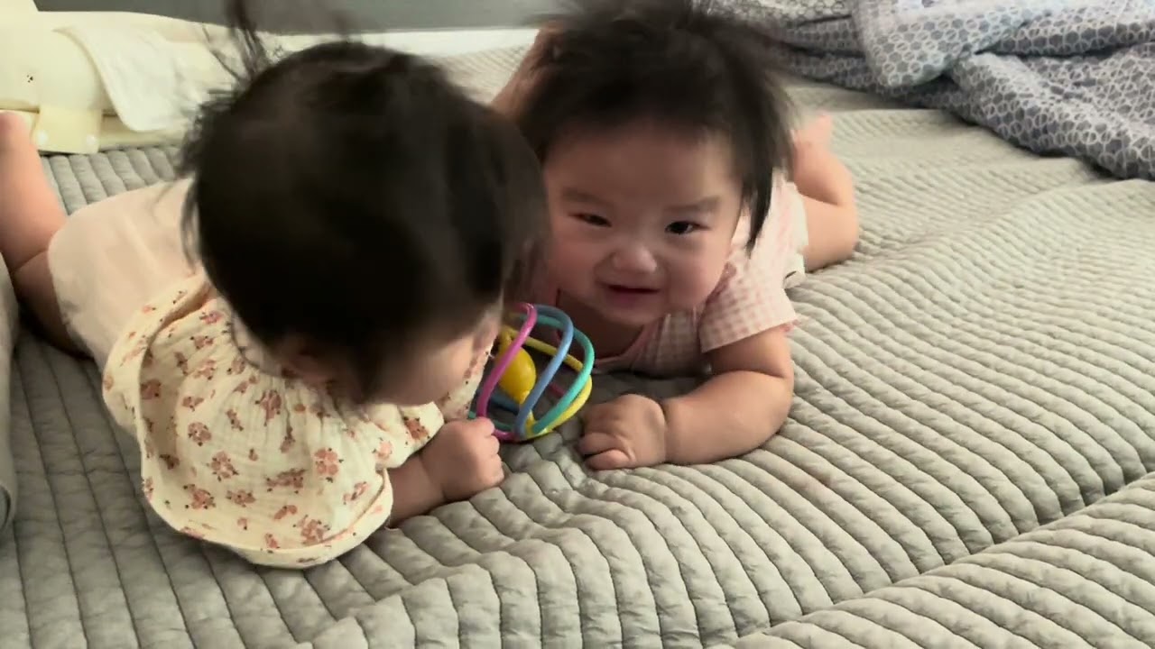 176일 쌍둥이 일상