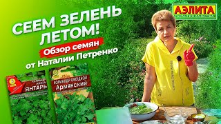видео: ЗЕЛЕНЬ. Сеем весь сезон! Повторный посев кинзы. картинка: ЗЕЛЕНЬ. Сеем весь сезон! Повторный посев кинзы.