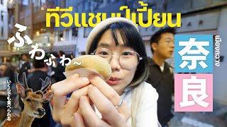 วัฒนธรรมอันยิ่งใหญ่ และของกินอันอร่อยยิ่ง! | เมืองนาระ▲ GZR Gozziira