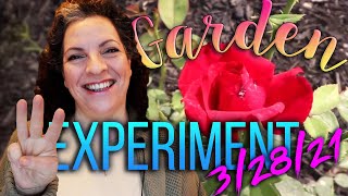 The Garden Experiment || 3/28/21 ||