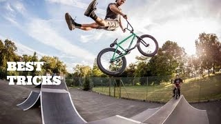 BMX - Pro RIDER 2016 Edition