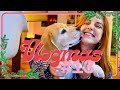 Jai un gremlins dans la chaussette  vlogmas 13  mlococo