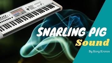 Korg Kronos Snarling Pig sound