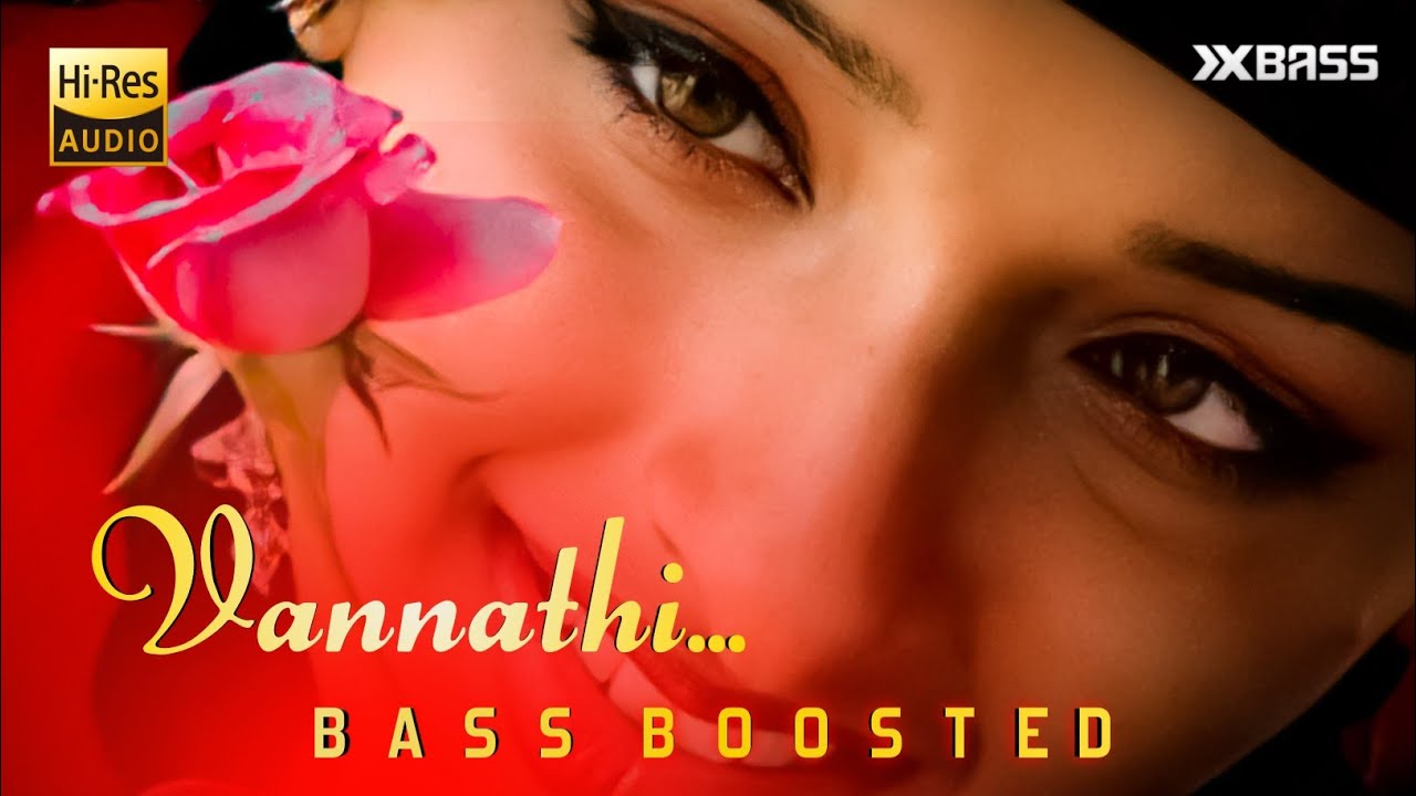 Vannathi Pullinu Doore  BASS BOOSTED AUDIO  Mizhineer  Shyam Dharman