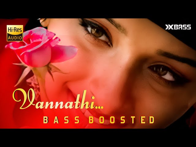 Vannathi Pullinu Doore | BASS BOOSTED AUDIO | Mizhineer | Shyam Dharman class=