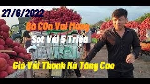 27/6/2022 Giá Vải Thiều Lục Ngạn Tăng Cao Bà Con Phấn Khởi l Núi Đồi Lục Ngạn