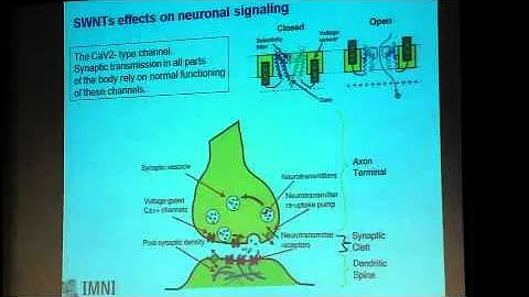 Toward Regulation of Nanomaterials: Robert Hurt