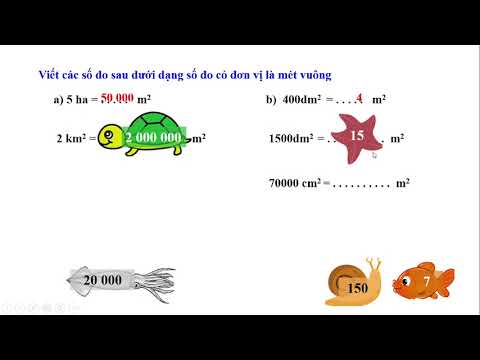 Tuần 6 - Toán 5 - Luyện tập