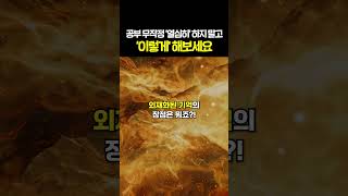 지식을 미친 듯이 흡수하는 뇌를 만드는 법 #인생책