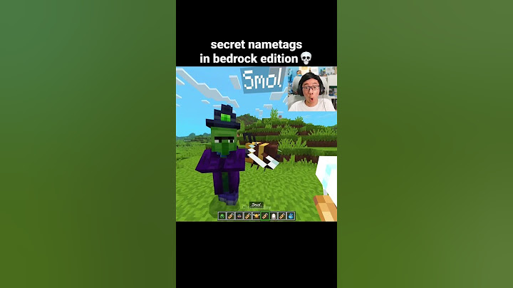 Minecraft Secret Nametags Moment