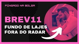 BREV11: Fundo de lajes fora do radar, imóveis em ótimas localizações. Vale a pena investir?