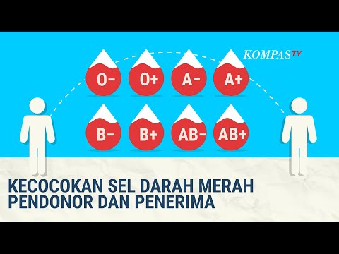 Video: Bisakah darah menerima darah b?