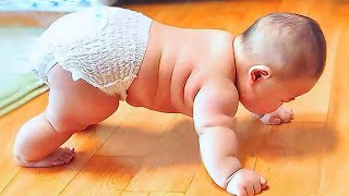 TOP Cutest Chubby Babies Will Melt Your Heart 🥰🥰 || Cool Peachy by COOL PEACHY 1,575 views 2 days ago 10 minutes, 3 seconds