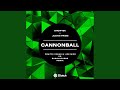 Cannonball dimitri vegas  like mike vs bassjackers remix