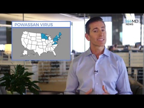 Video: Je Li Virus Powassan Prijetnja Kućnim Ljubimcima?
