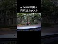 かわいい韓国人高校生カップル #shorts