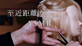 【ASMR/音フェチ】現役美容師の1時間耐久至近距離ヘアカットASMR【ハサミ】【声なし/No Talking】【hair cut】【sleepy】【睡眠】【作業用】