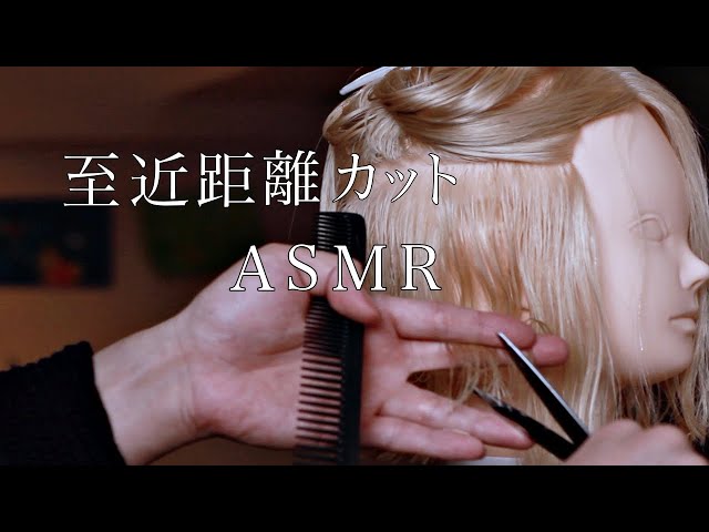 【ASMR/音フェチ】現役美容師の1時間耐久至近距離ヘアカットASMR【ハサミ】【声なし/No Talking】【hair cut】【sleepy】【睡眠】【作業用】